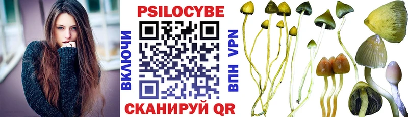 Псилоцибиновые грибы Magic Shrooms где купить наркоту Камень-на-Оби