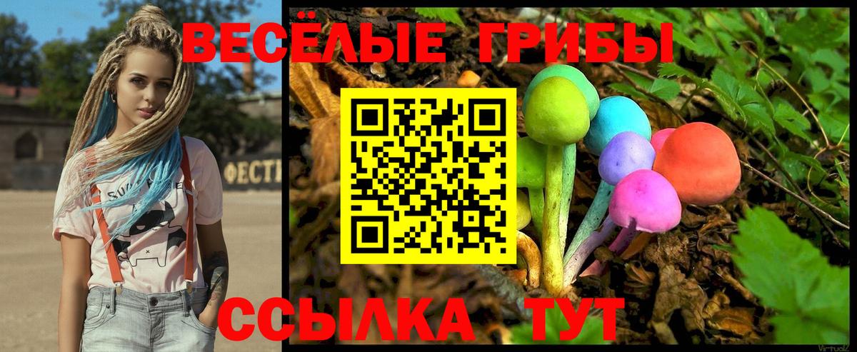 Галлюциногенные грибы Cubensis  Вход с VPN  купить наркотики цена  Камень-на-Оби 