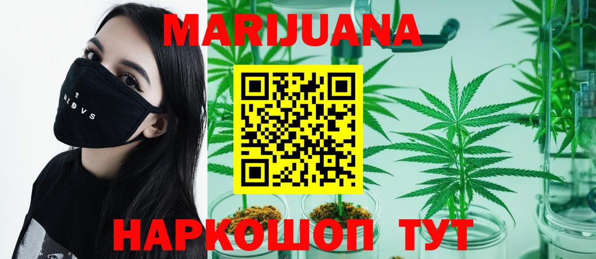 Бошки марихуана THC 21%  Бошки Шишки планчик  Вход с VPN  Камень-на-Оби  Каннабис семена  Бошки Шишки конопля 